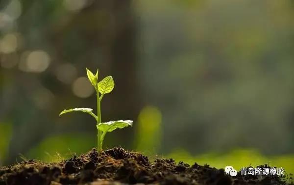 <b>這個植樹節，你種樹了嗎？</b>